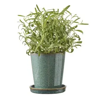 BITZ skjuler med underskål - grøn/sort - 10 cm - BITZ