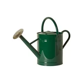 DACORE Vandkande 8 liter - grøn - 