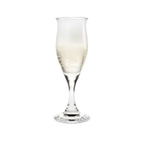 HOLMEGAARD Idéelle champagneglas 23 cl. -