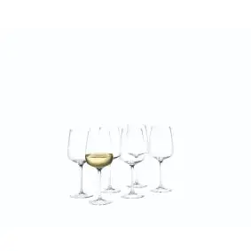 HOLMEGAARD Bouquet hvidvinsglas 41 cl - 6 stk - 