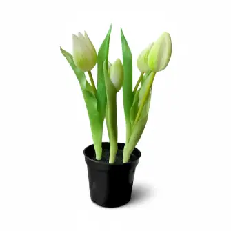DACORE Tulipaner i potte - hvid - DACORE