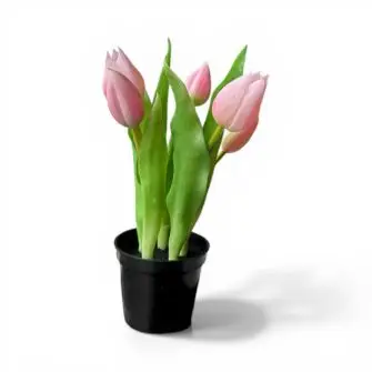 DACORE Tulipaner i potte - rosa - DACORE