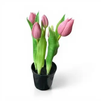 DACORE Tulipaner i potte - mørk rosa - DACORE