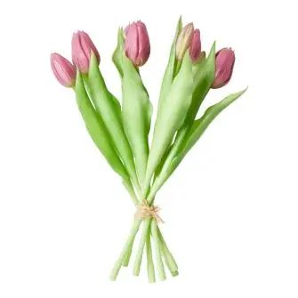 DACORE Tulipan buket 7 stk 31 cm - rosa - DACORE