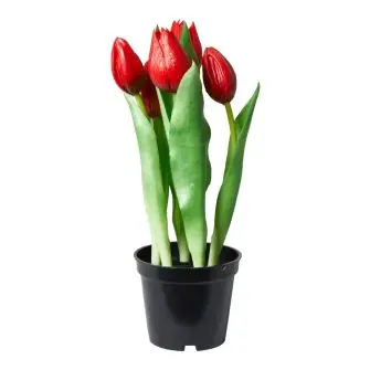 DACORE Tulipaner i potte - rød - DACORE