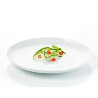 AIDA Atelier hvid middagstallerken 25 cm 4 stk - hvid - TALLERKNER