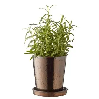 BITZ skjuler med underskål - sort/bronze - 10 cm - BITZ